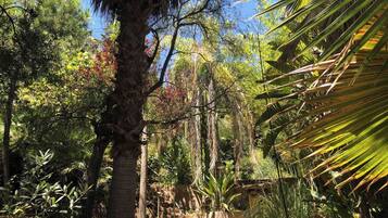 Jardines del alojamiento