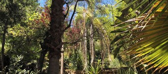 Accommodation with private terrace in tropical garden,