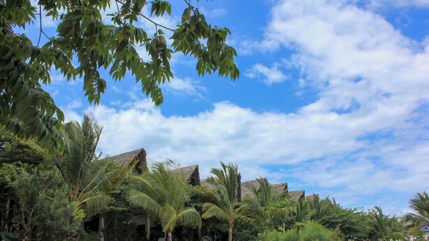 Un resort tropicale con palme, un edificio a tetto di paglia e un cielo blu limpido.