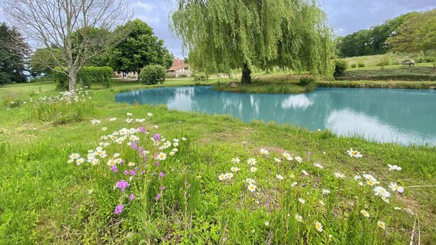A serene pond surrounded by lush greenery and blooming flowers. - Spacious houses in Normandy, aux Alpes Mancelles (Moulins-le-Carbonnel)
