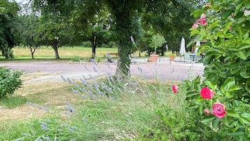 施設の敷地