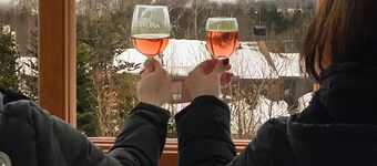 Mount Snow Best View - Sauna|HotTub|Pool|Fireplace