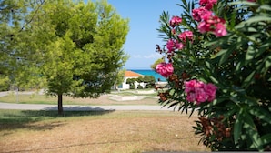 A tree-lined pathway leading to a building with a clear view of the sea. - Sunny Villa Pende in Chaniotis (Kassandra)