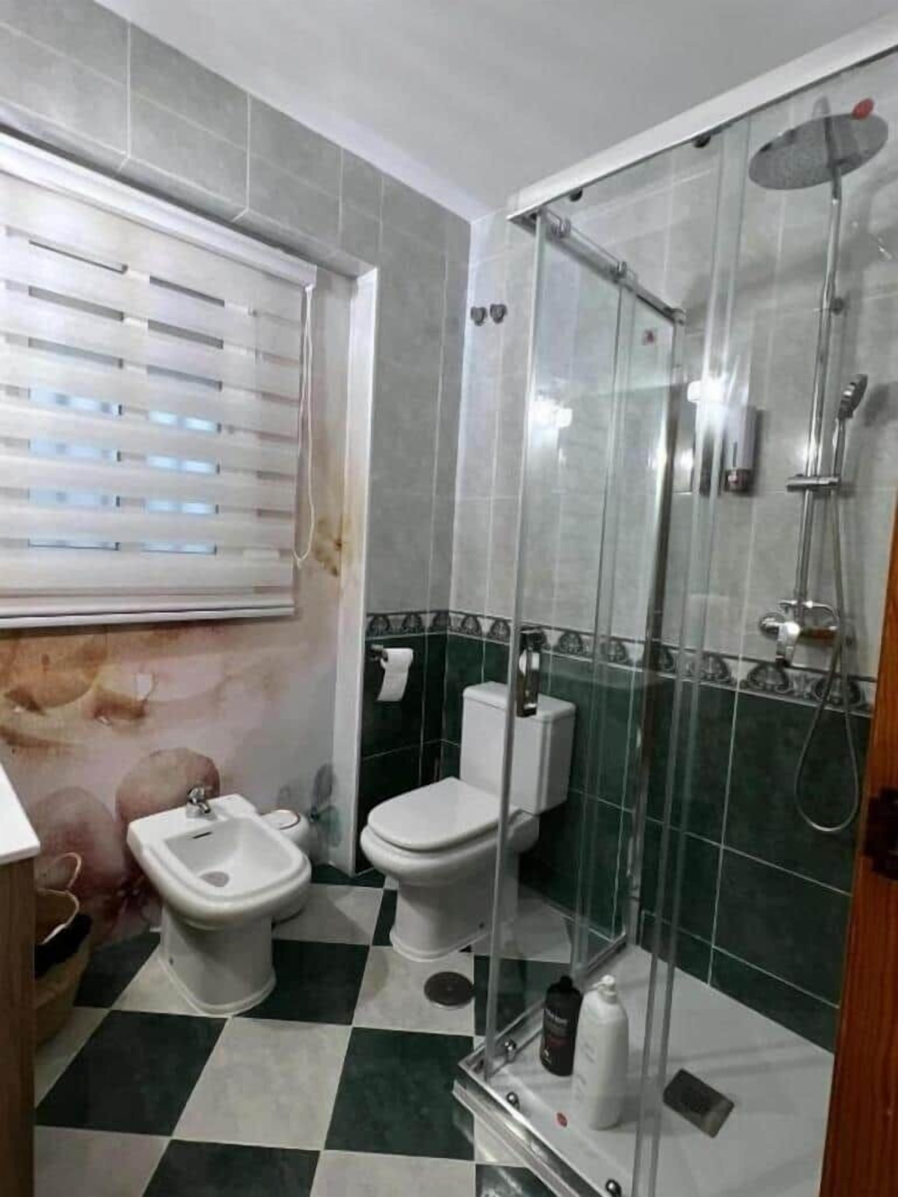 Secador de pelo, bidet, toallas, jabón