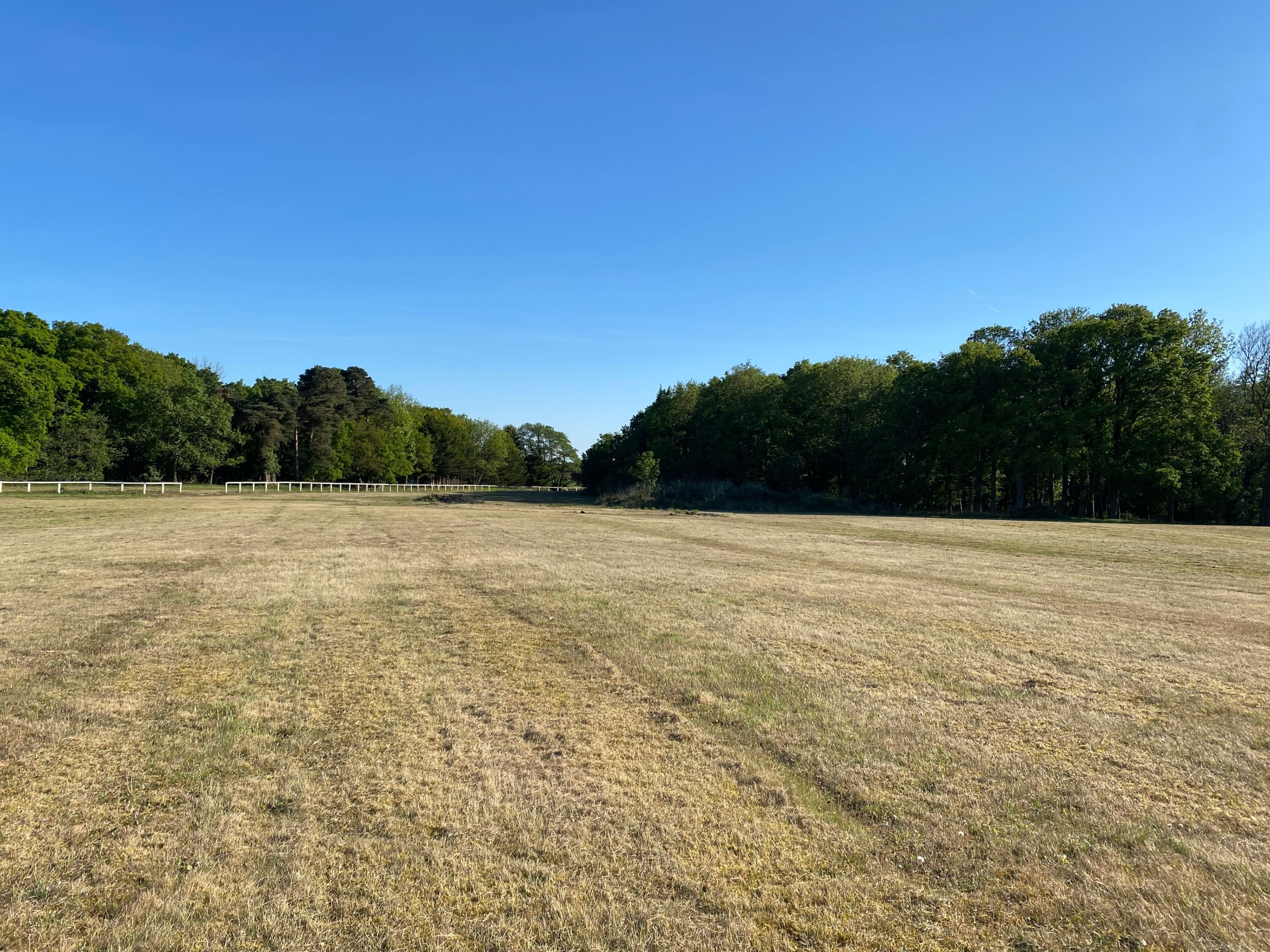 A large, open grassy field with a white fence in the distance and dense trees on the sides.