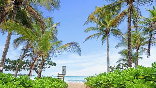 Un sendero de madera que lleva a una playa con palmeras y un letrero que indica una zona protegida.