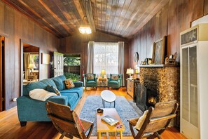 TV, fireplace, books