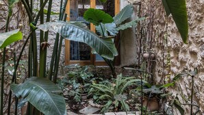 A narrow stone pathway leading to a wooden door, surrounded by lush tropical plants and vines on a rustic stone wall. - Asomaton by Oniro (Athens)