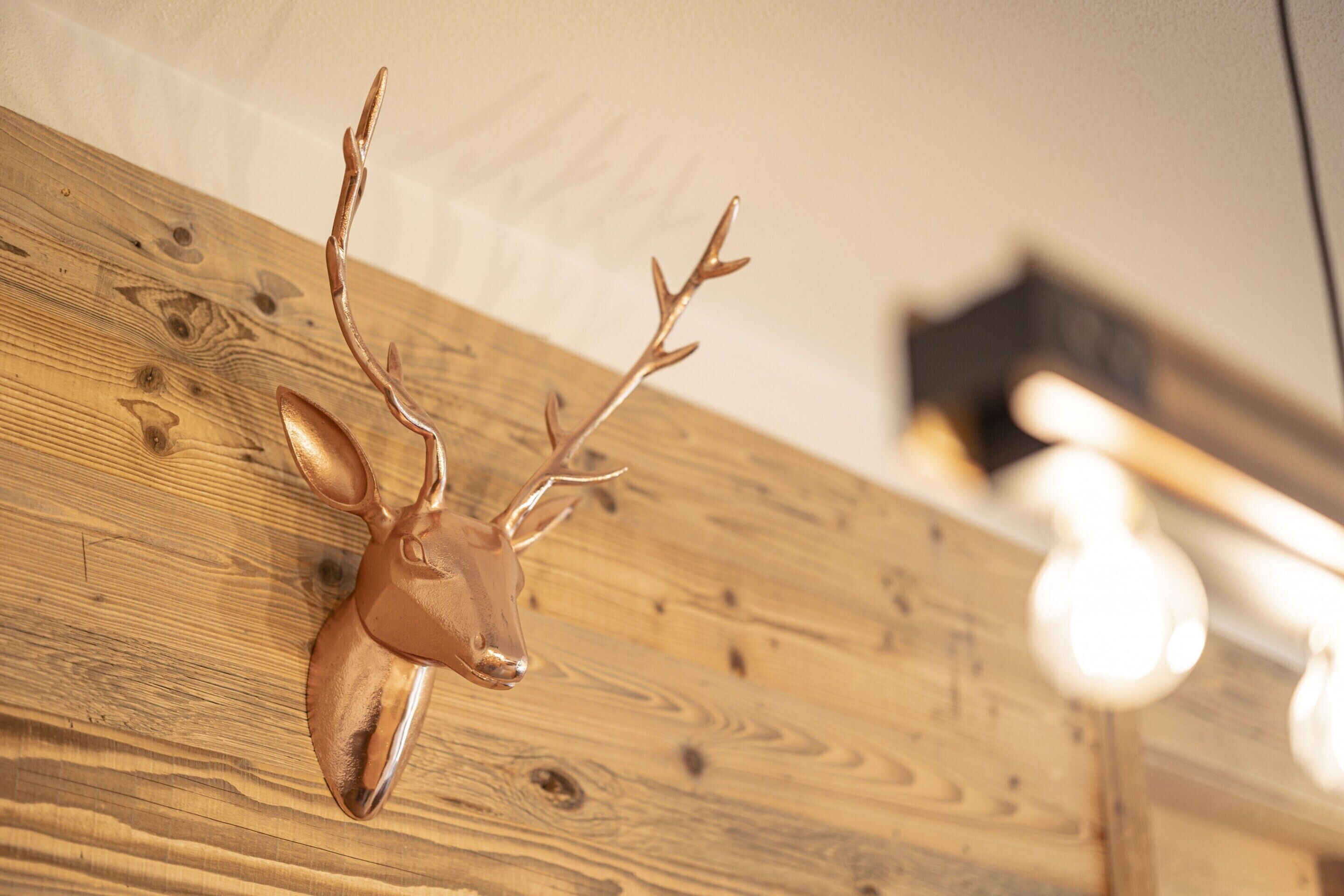 A wooden wall with a mounted deer head decoration.
