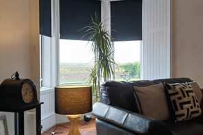 Smart TV, DVD player, books, video library