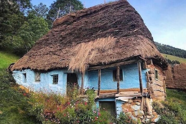 Vue sur la campagne depuis l’hébergement