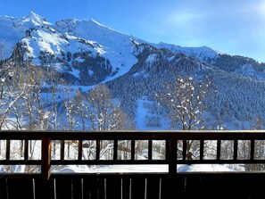 Property grounds - Chalet la clusaz (la clusaz)