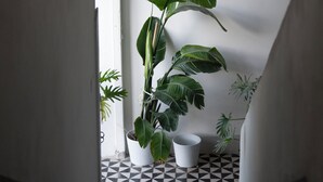 Un couloir étroit avec un sol à motifs noir et blanc, une plante en pot et une planche de surf appuyée contre le mur.