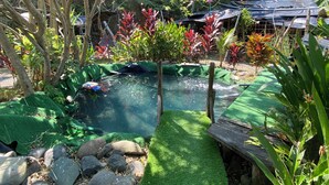 A garden with a small pond, rocks, and various plants. - Fully equipped 2-bedroom apartment close to mountains and beach with great WiFi (Playa Hermosa)