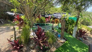 A garden with a pond, various plants, and a small structure in the background. - Fully equipped 2-bedroom apartment close to mountains and beach with great WiFi (Playa Hermosa)