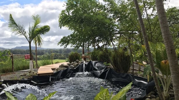 A small pond with a waterfall, surrounded by rocks and plants. - Fully equipped 2-bedroom apartment close to mountains and beach with great WiFi (Playa Hermosa)