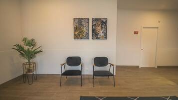 A reception area with two chairs, a potted plant, and two framed artworks on the wall.
