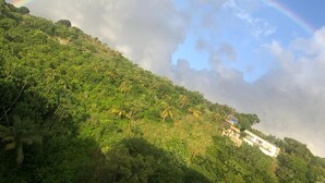 A lush green hillside with a building at the base.