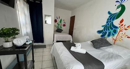 Hotel El Mexicano Tepic Centro