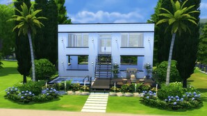 A modern two-story house with a central entrance, surrounded by a well-maintained garden with palm trees and flowering plants. - Charming 3-bedroom house with WiFi, fitness room in vibrant Austin (Austin)