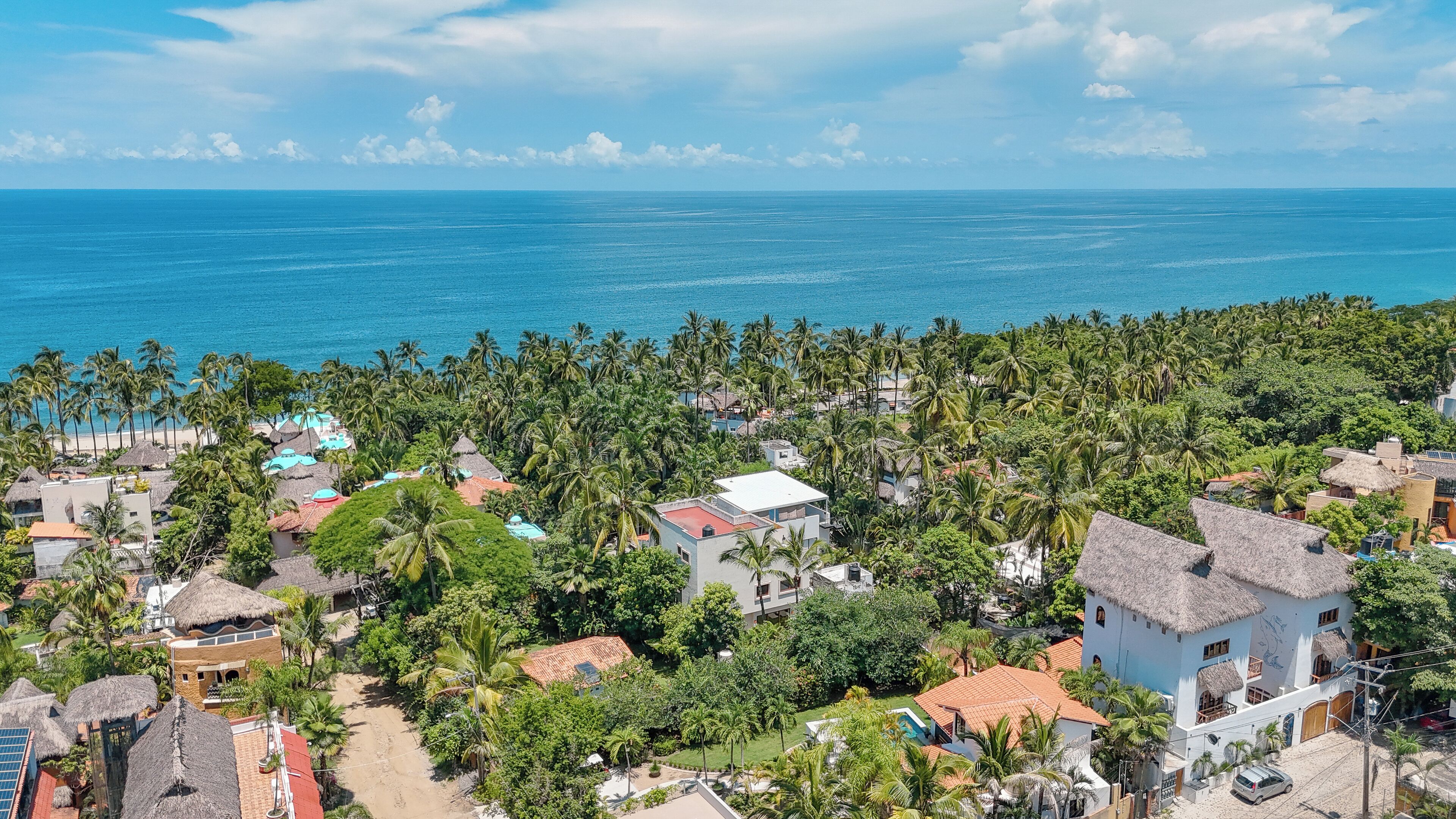 A coastal village with thatched-roof houses, dense palm trees, and a view of the sea.