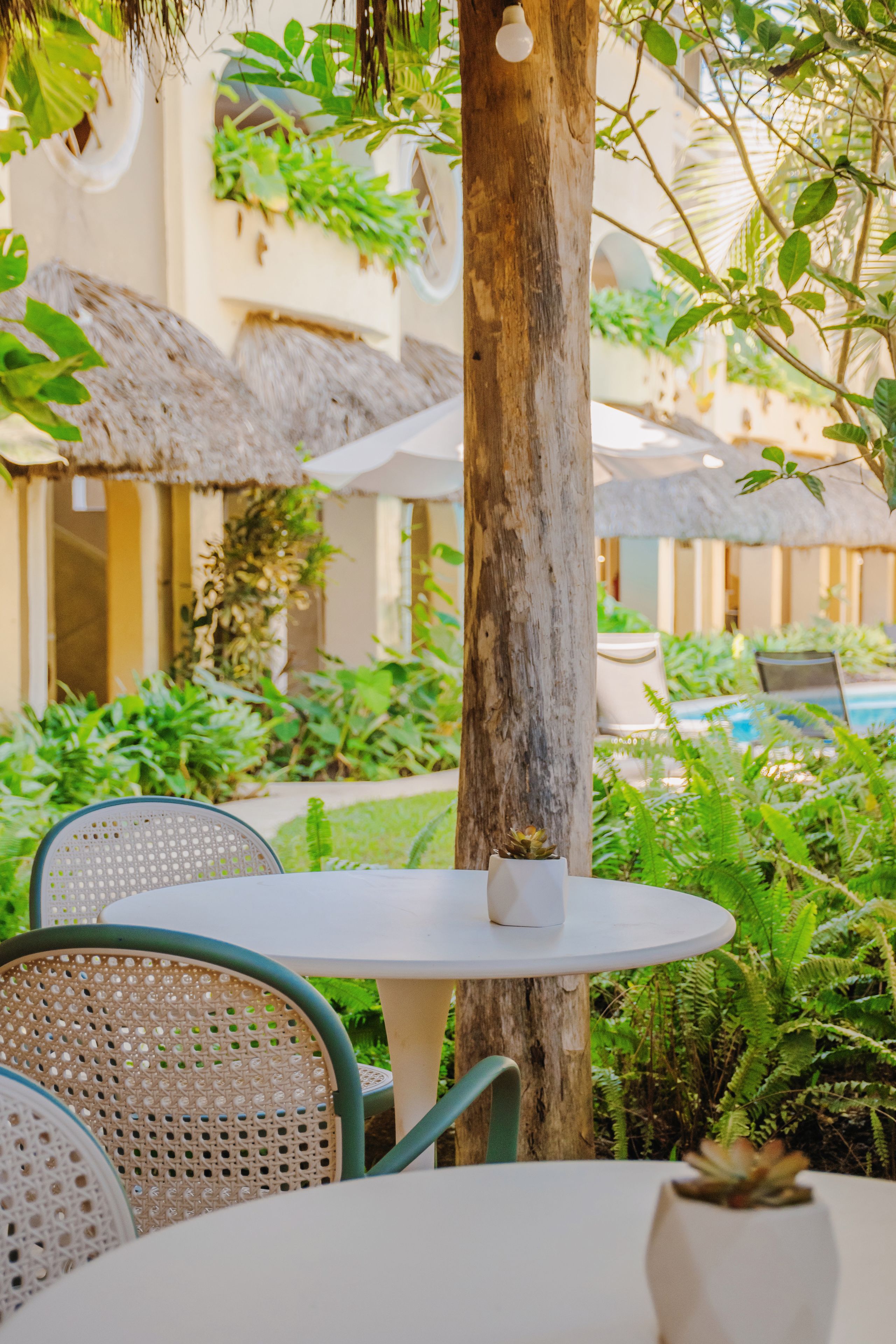 Une table ronde recouverte d’une nappe blanche, une plante en pot et une chaise en osier, le tout dans un jardin avec un tronc d’arbre et de la verdure.