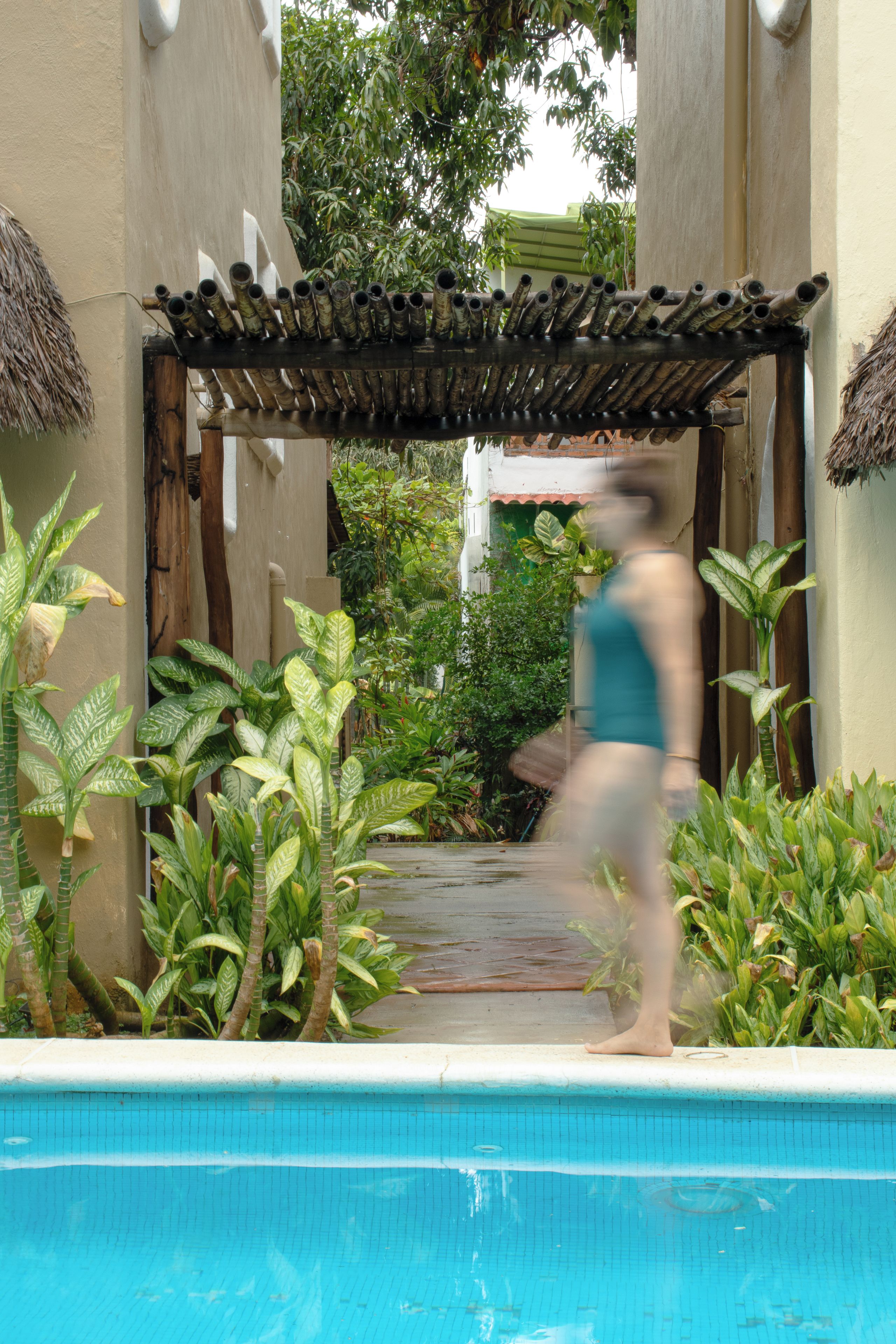 A pool area with a pergola, tropical plants, and a person walking by.