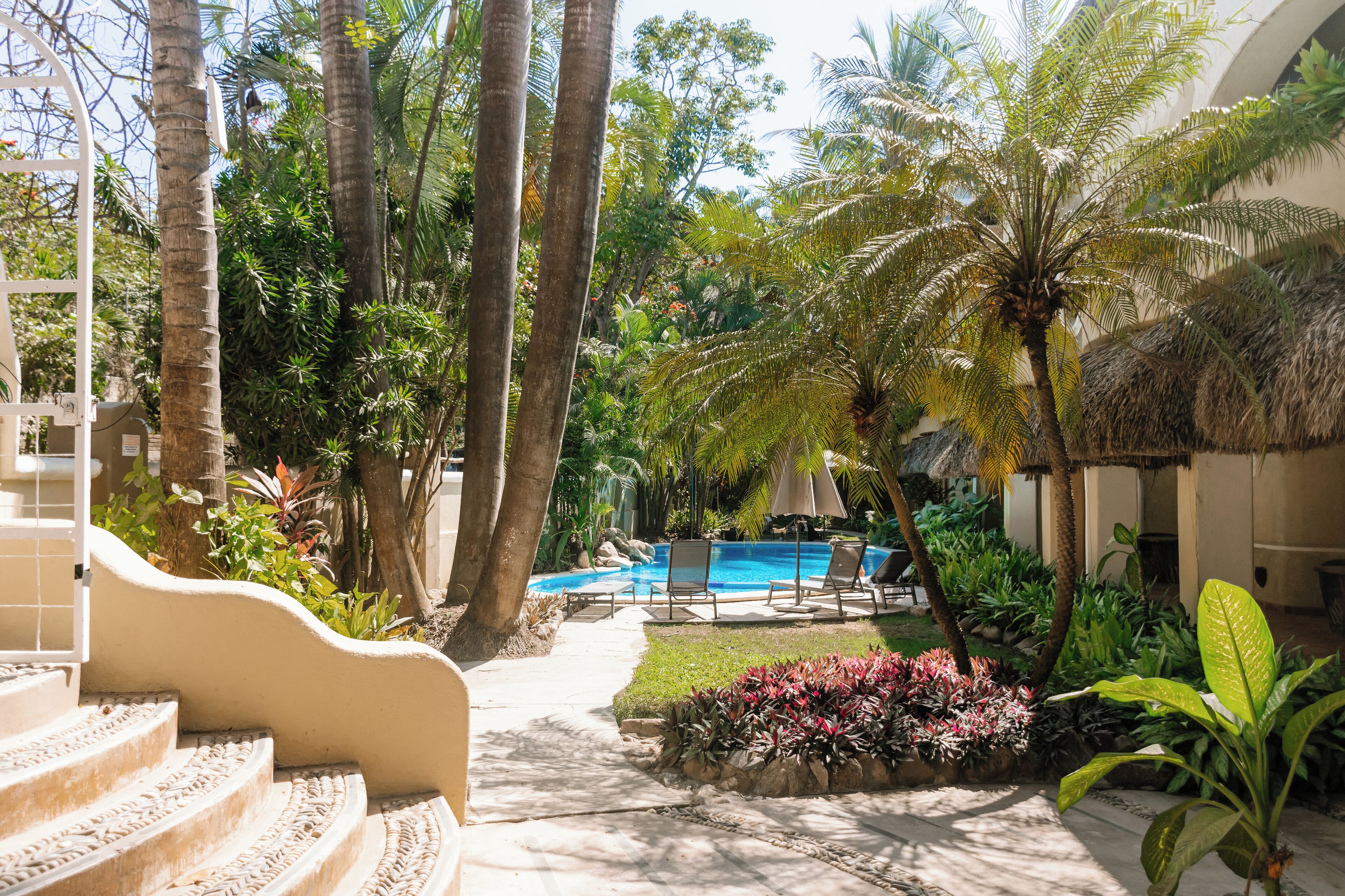 Zona de piscina con escalones que bajan al agua, rodeada de palmeras y plantas tropicales.