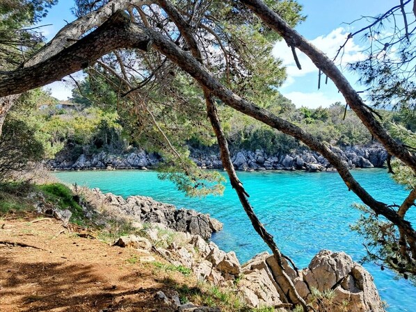 A coastal landscape with clear turquoise water, rocky terrain, and pine trees.