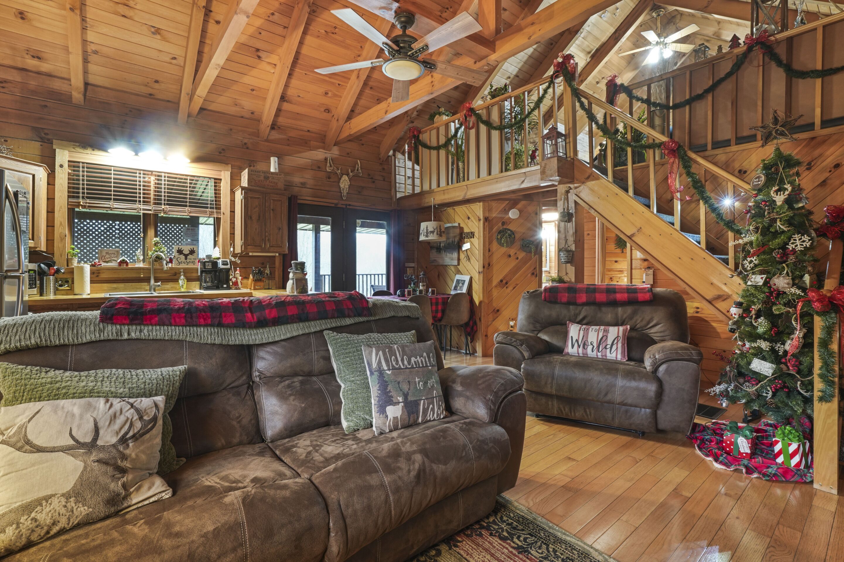 TV, fireplace, DVD player