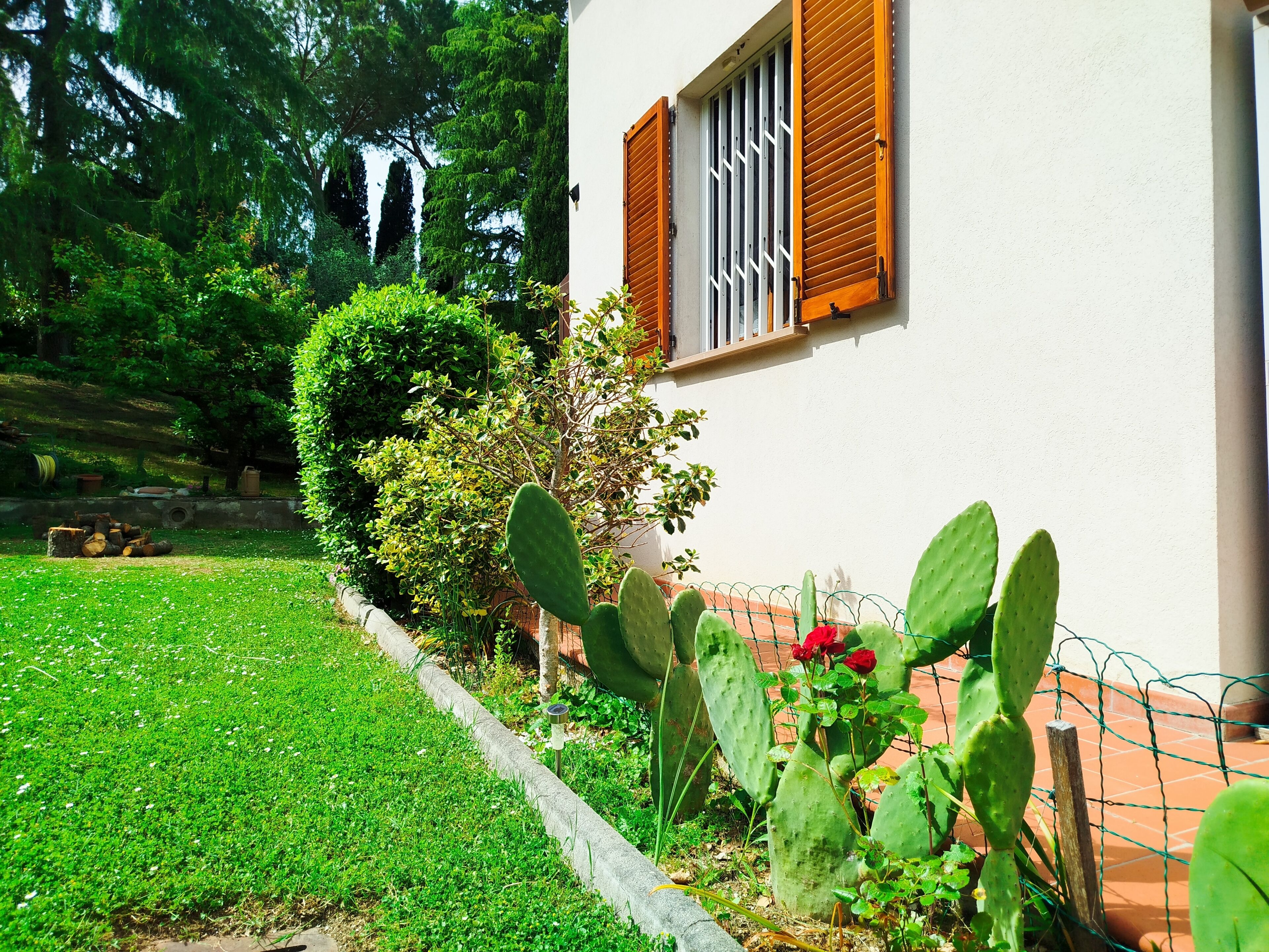 Camera Tradizionale, 1 letto a una piazza e mezza, vista giardino | Copriletto in piuma, Wi-Fi gratuito, lenzuola