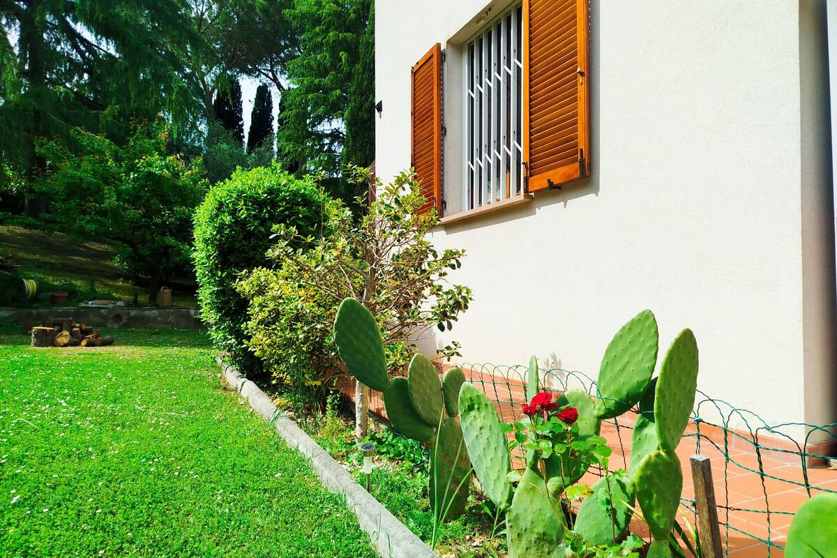 Ein Haus mit Garten, inklusive Kaktus und Hecke.