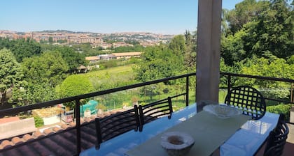 B&B Signora MinĂč