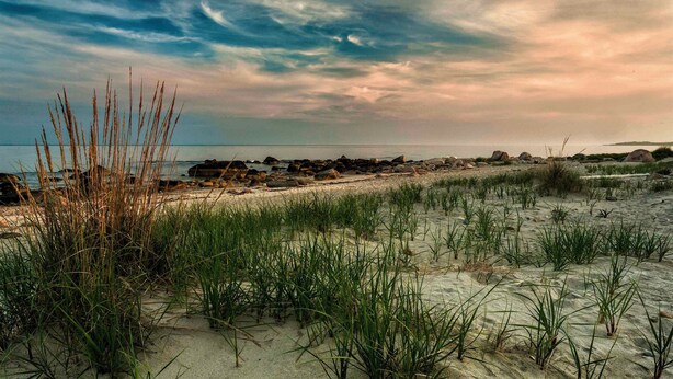 A beach with sand, grass, and rocks. - Summer Beach Rental w/ Beach Pass - 3 bed/3 bath (Charlestown)