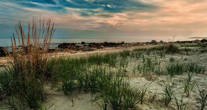 3 bed / 3 bath Summer & Sept-May Rental