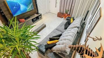 Smart-TV, Kamin