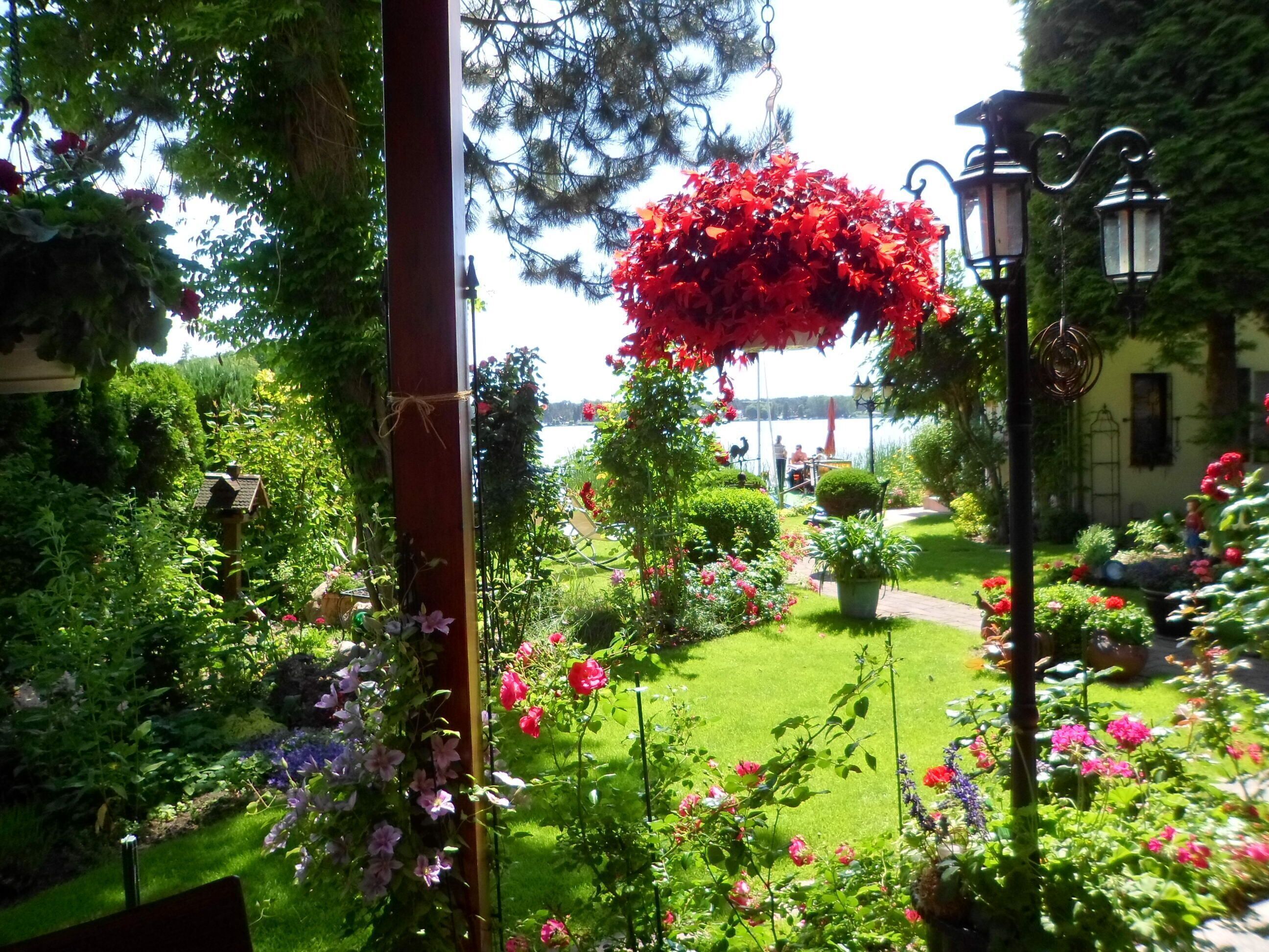 Blick in den Garten