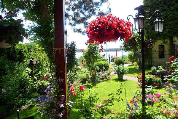 Blick in den Garten