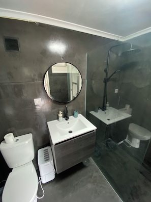 Shower, hair dryer, towels, toilet paper