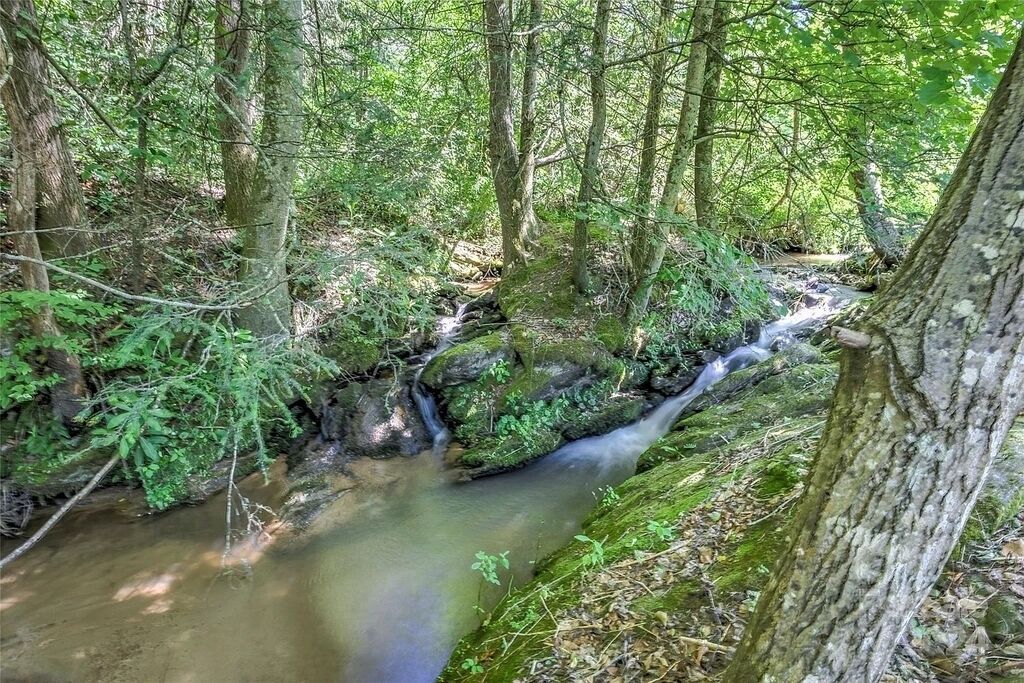 Rustling Creek in back yard