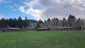 A large grassy field with three wooden cabins.