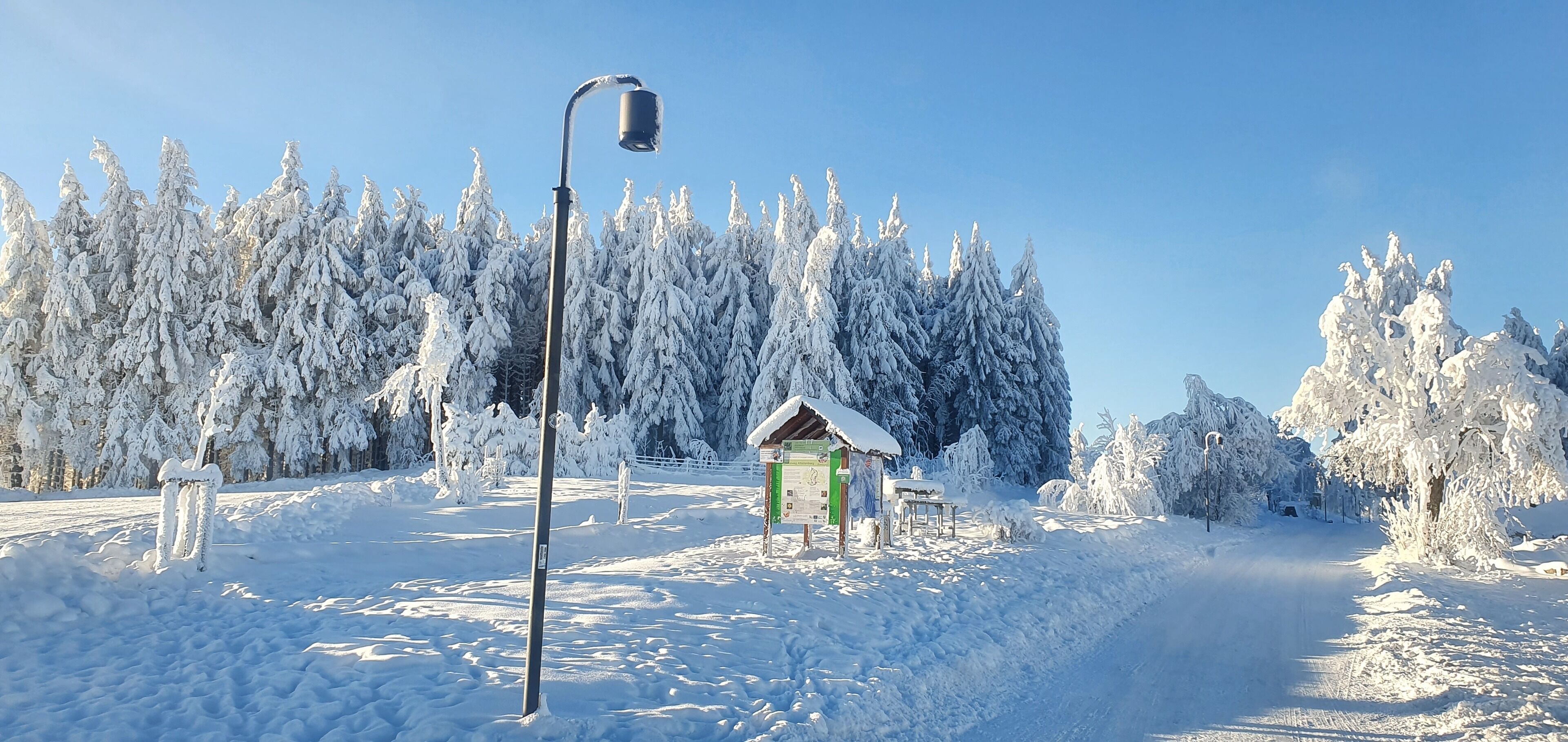 A snow-covered landscape with a street lamp, a small wooden structure, and a dense forest in the background.