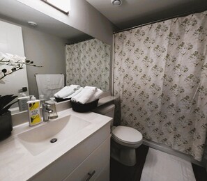 Hair dryer, towels, soap, shampoo