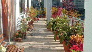 A balcony with potted plants and a wooden bench. - PH Recoletos (Caracas)