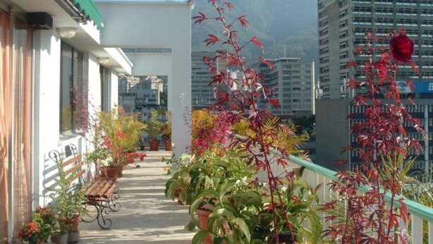 A balcony with potted plants and a wooden bench. - PH Recoletos (Caracas)