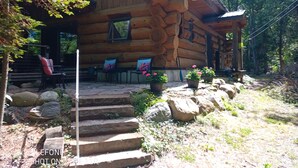 A log cabin with a stone staircase leading to a porch, surrounded by potted plants and a rustic setting.