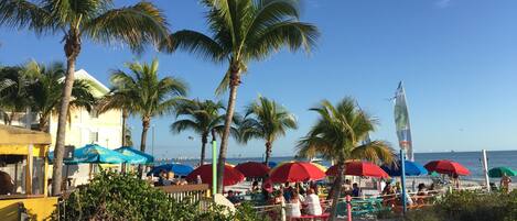 Camastros y toallas de playa