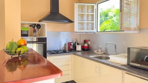 Una cocina con estufa, lavaplatos y ventana con vistas a la vegetación.