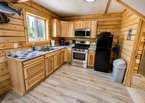 A wooden cabin-style kitchen with a granite countertop, stainless steel appliances, and a window overlooking a forest.
