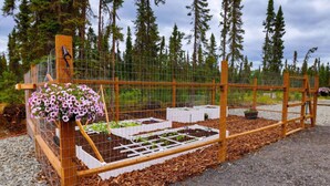 A garden with raised beds, a wooden fence, and a flower pot. - Kenai Fishing Cabin | Kitchen + Fire Pit (Kenai)